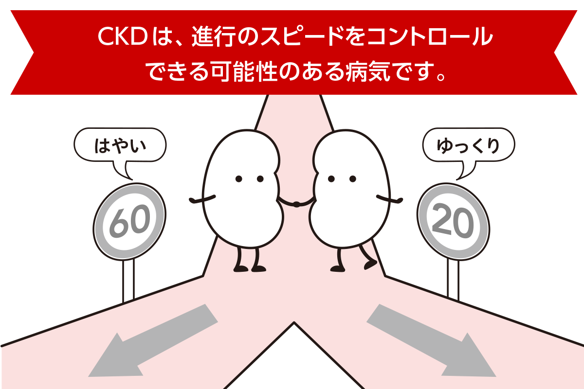 CKDは、進行のスピードをコントロールできる可能性のある病気です。