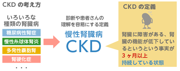 慢性腎臓病（CKD）の考え方