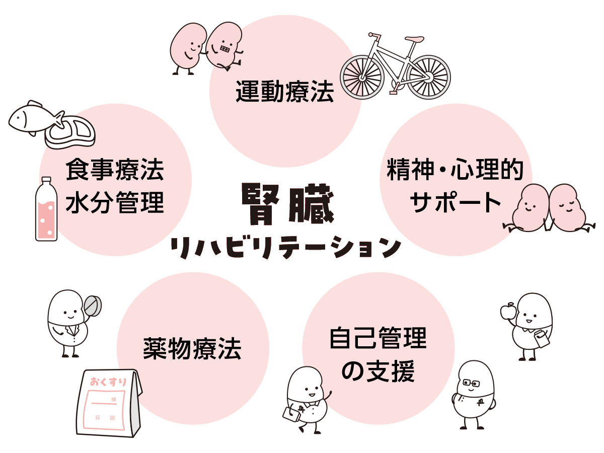 腎臓リハビリテーションのイメージ