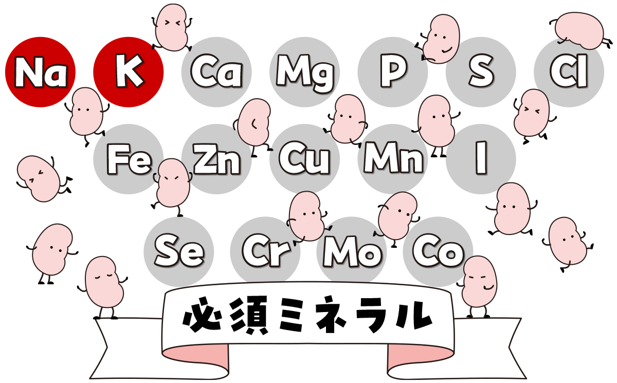 必須ミネラルとうまめさまめ