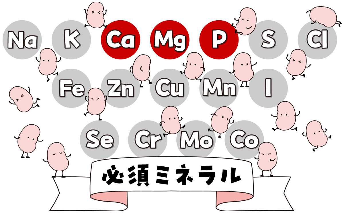 必須ミネラルとうまめさまめ