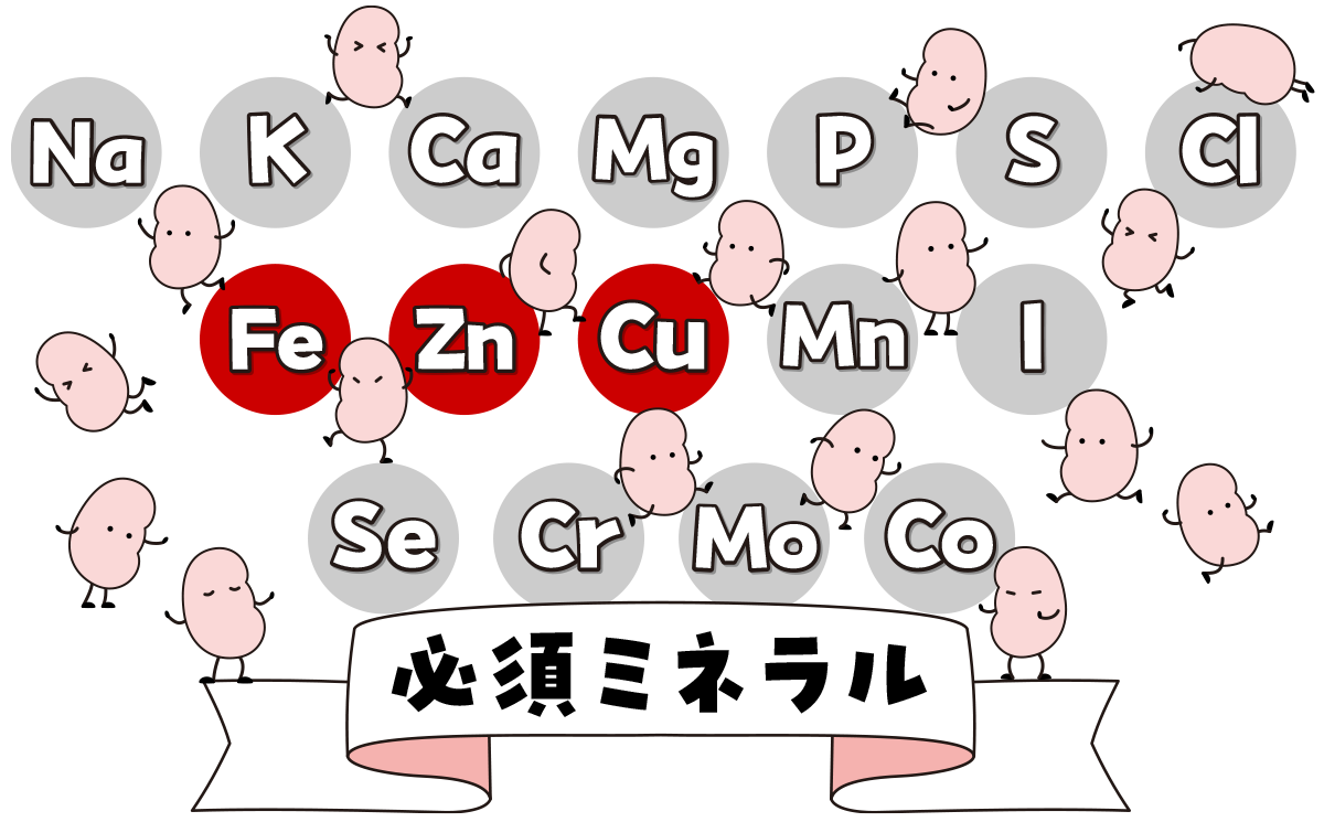 必須ミネラルとうまめさまめ
