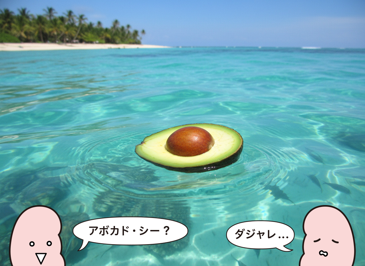 アドボカシーのダジャレ、アボカドが海に浮いている図